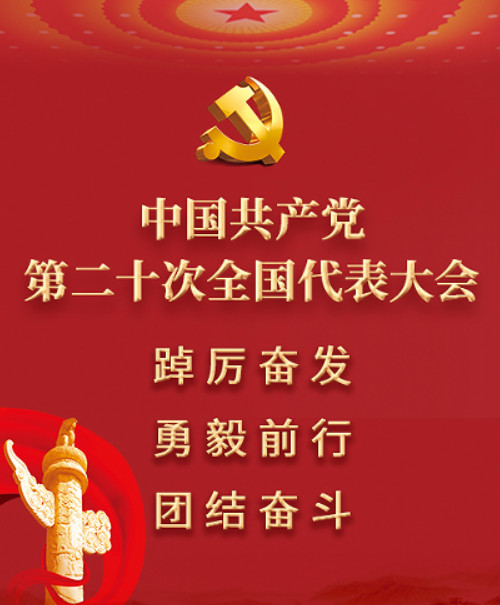 二十次全国代表大会 二十次全国代表大会